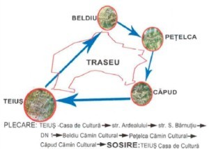 Teius mars sanatate